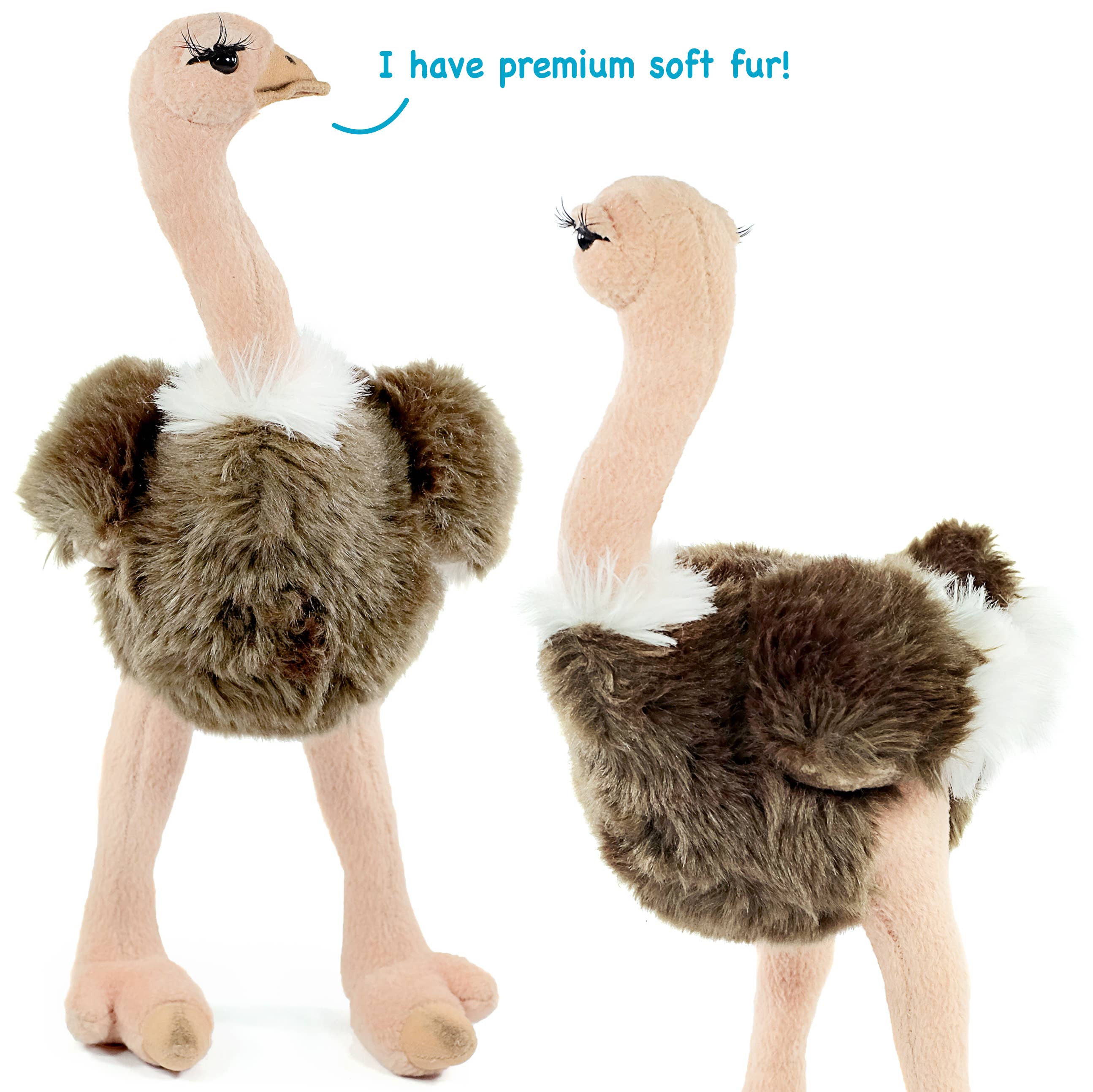 Ola The Ostrich - 12 Inch Stuffed Animal Plush