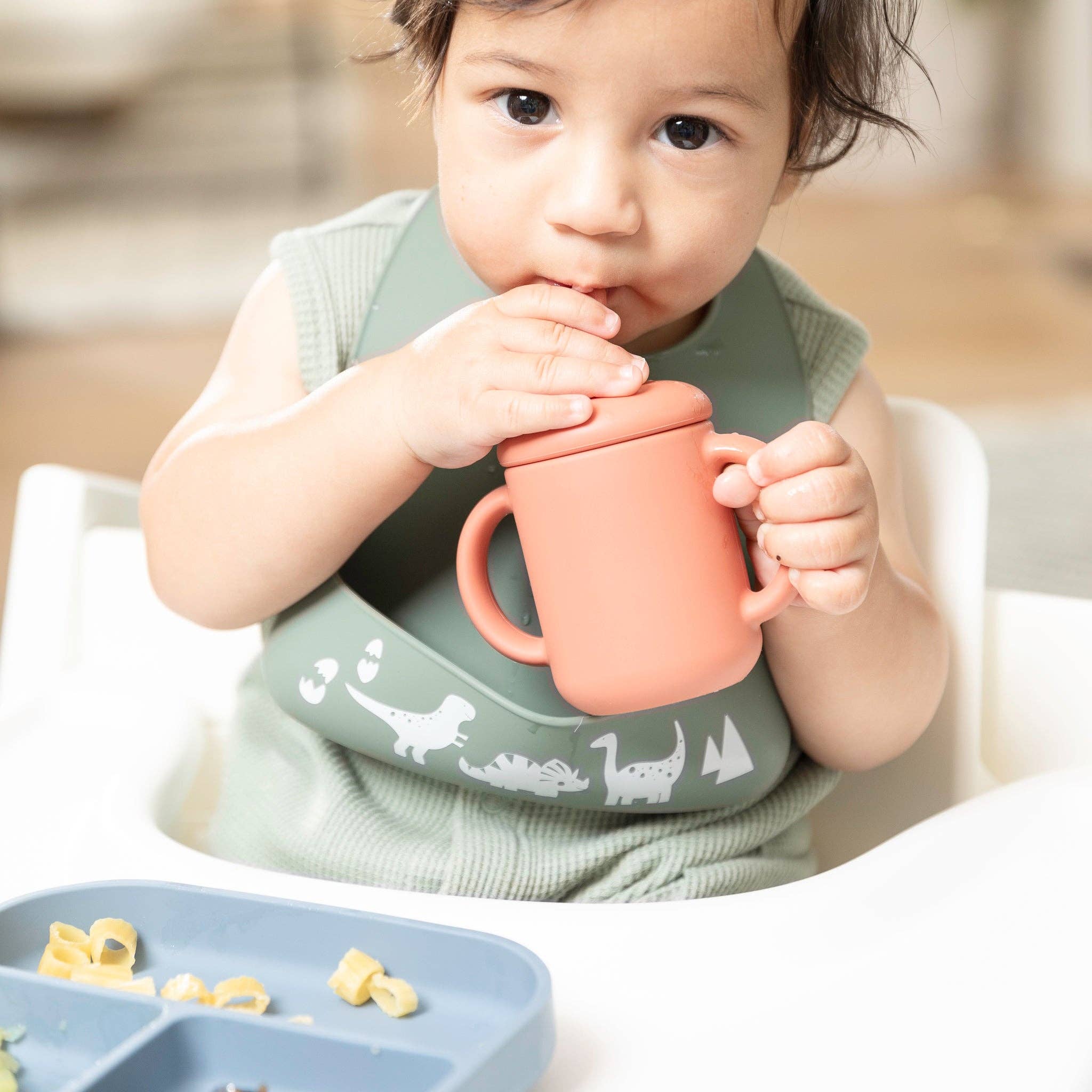 Dino Rawr Little Bites Bib
