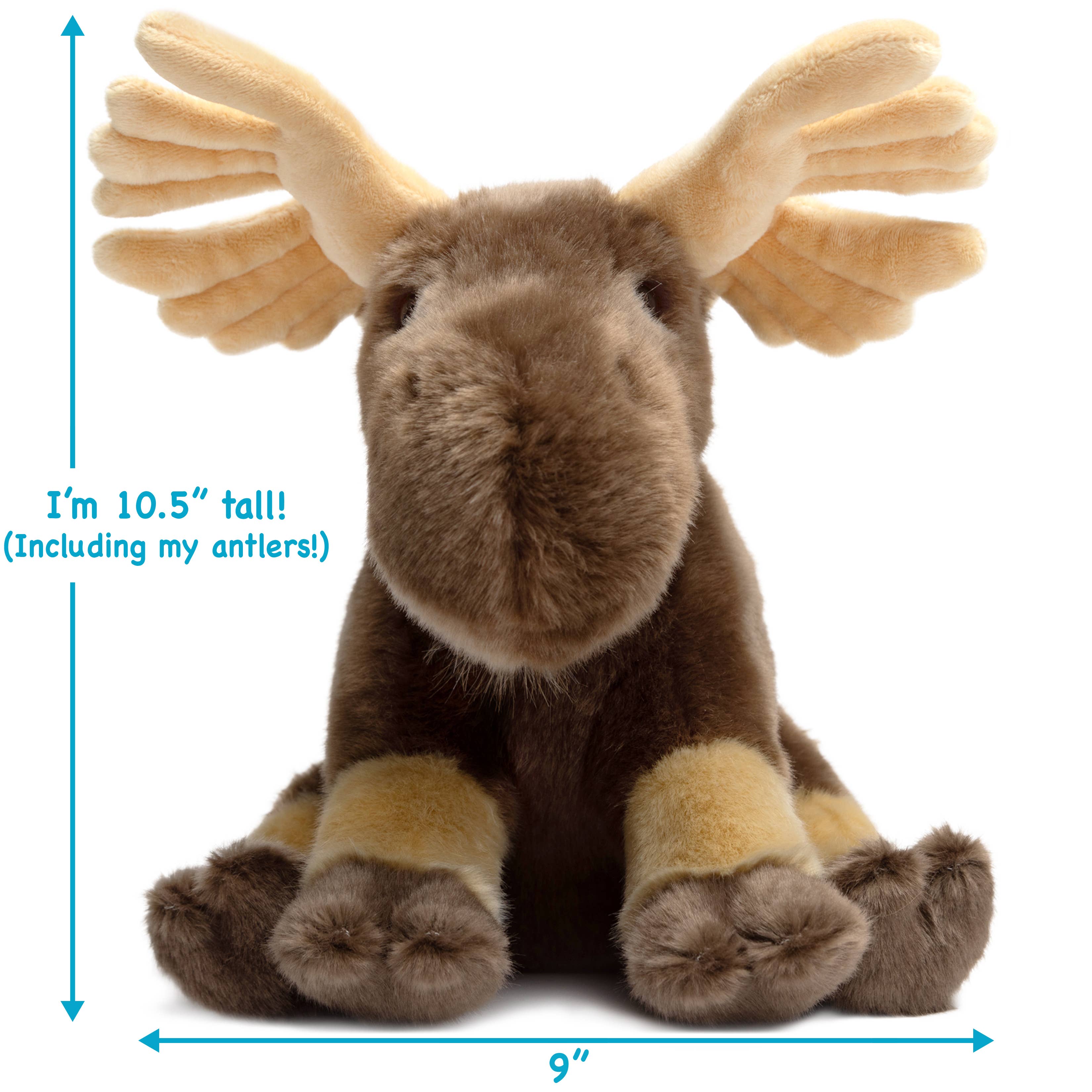 Martin The Moose - 10.5 Inch Stuffed Animal Plush
