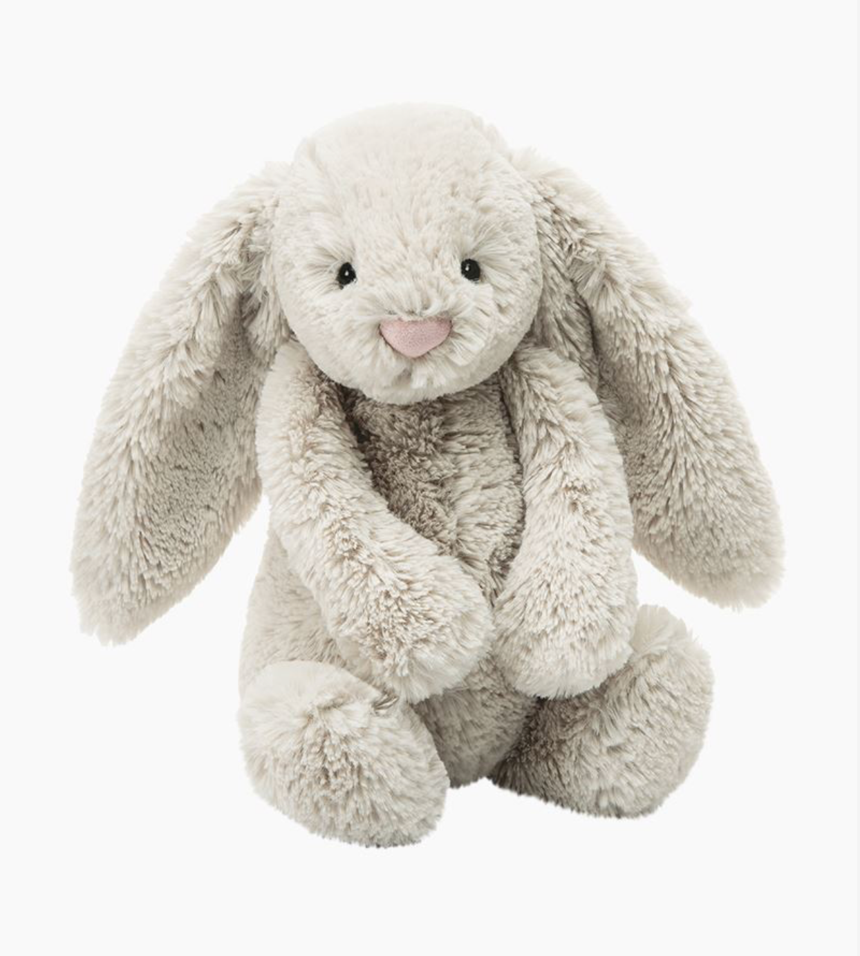 Bashful Bunny