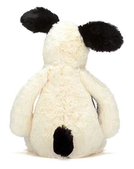 Bashful Black and Cream Puppy