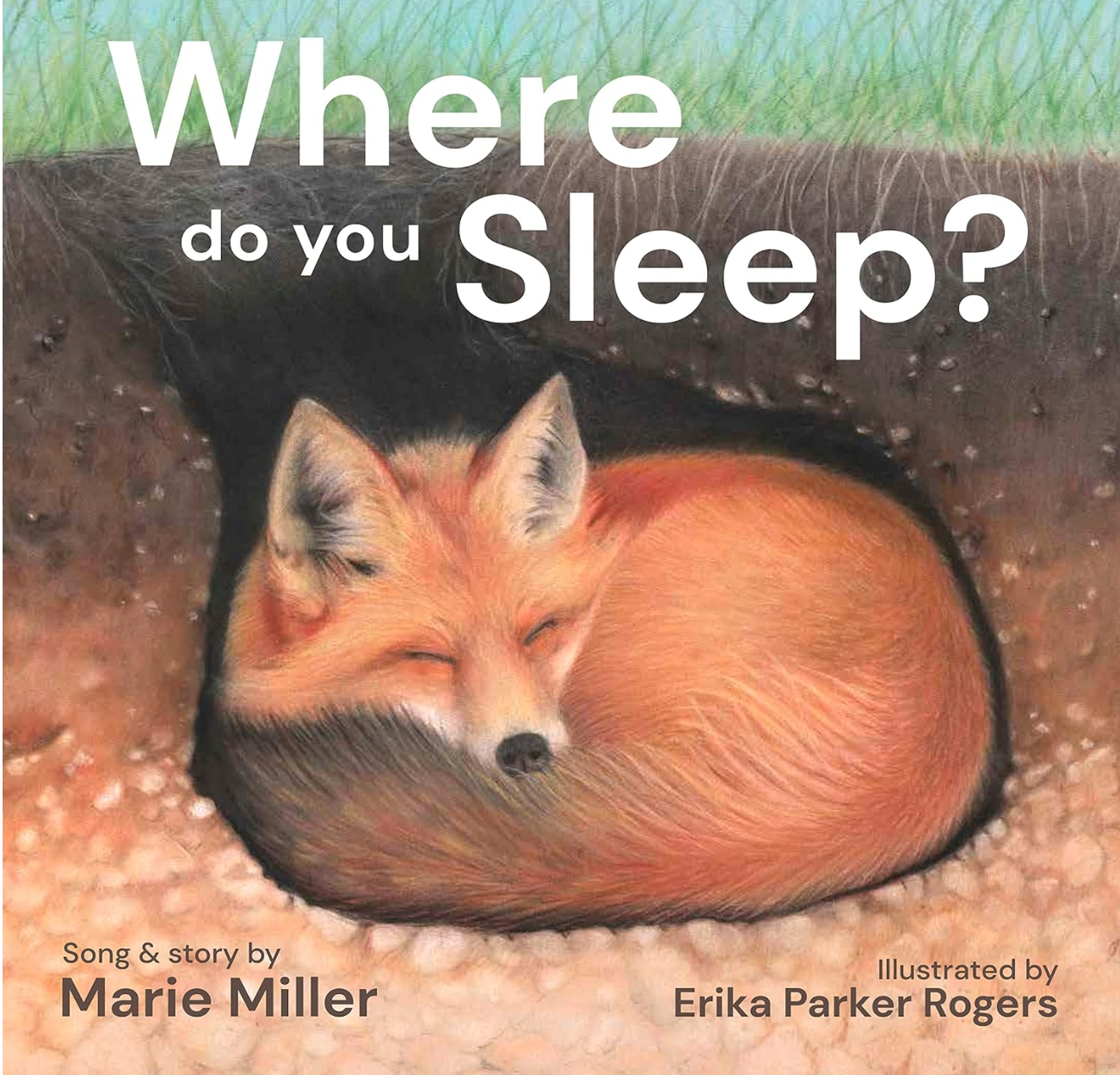 Where Do You Sleep Book