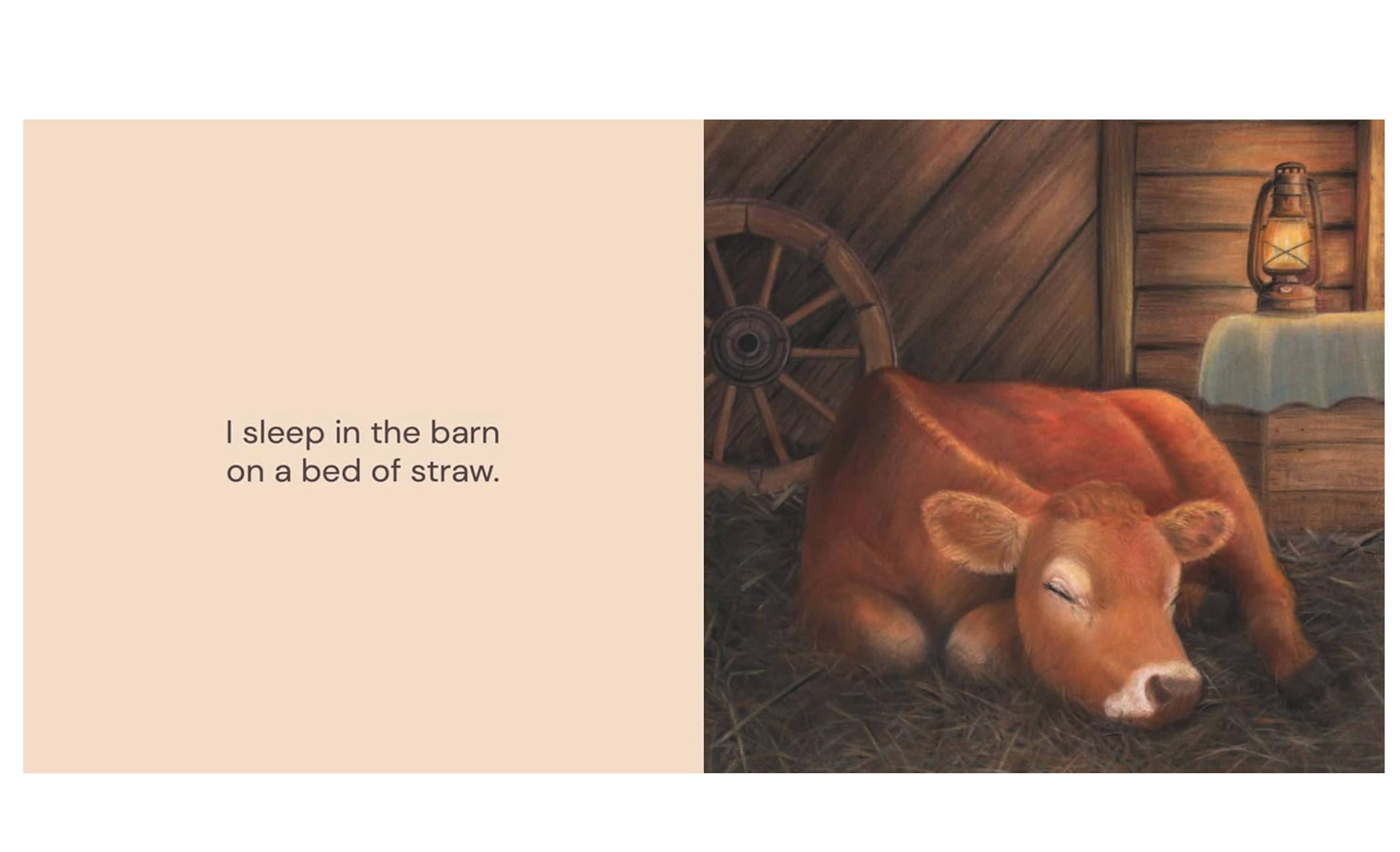 Where Do You Sleep Book