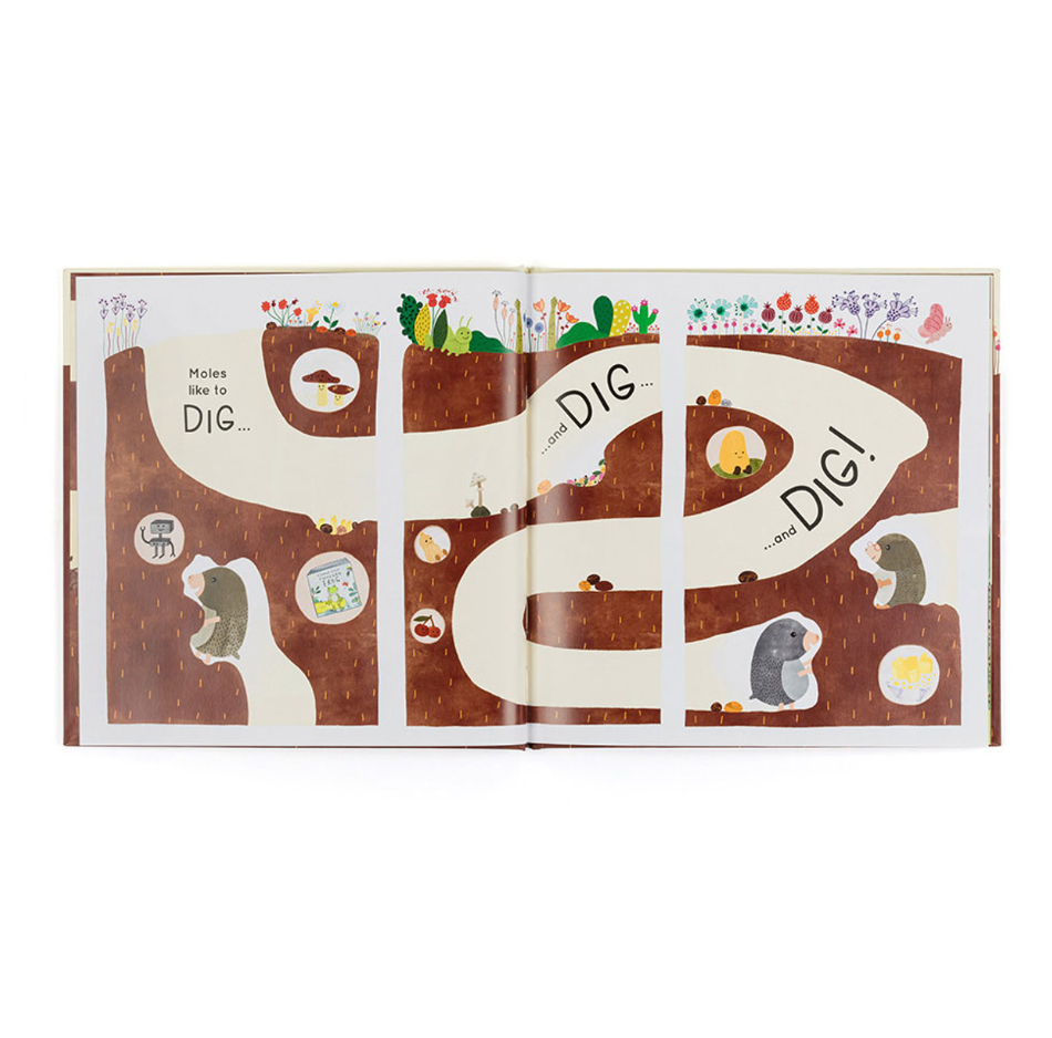 Muswell Mole and the Buried Treasure Book
