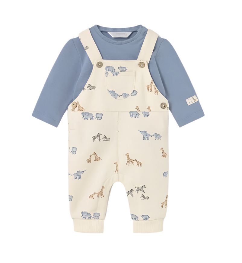 Newborn Boy Printed Dungaree and T-Shirt Set