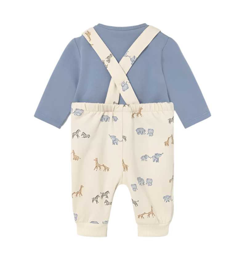 Newborn Boy Printed Dungaree and T-Shirt Set