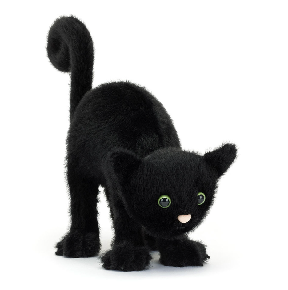 Spookipaws Cat