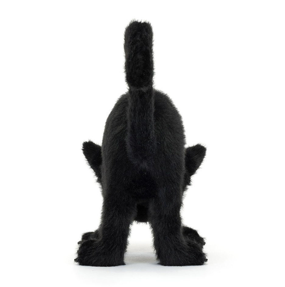 Spookipaws Cat