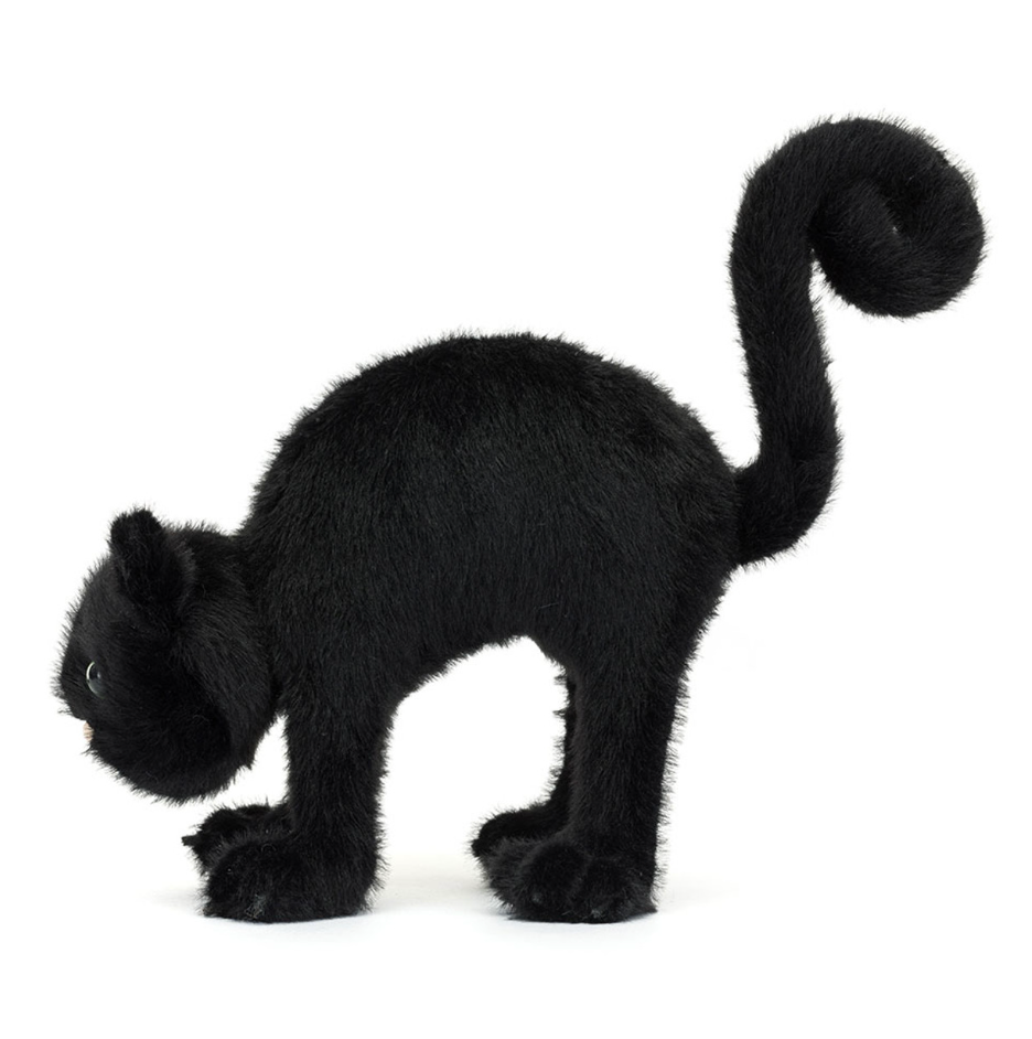 Spookipaws Cat