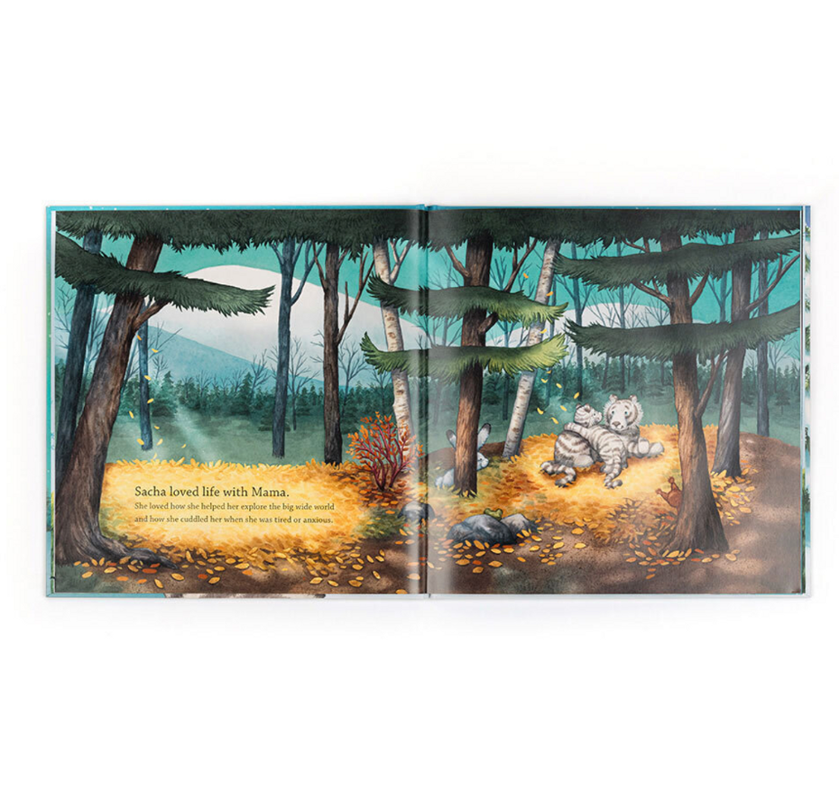 Sacha and the Most Wonderful Thing Book