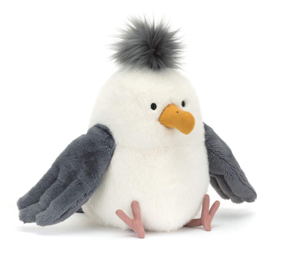 Chip Seagull
