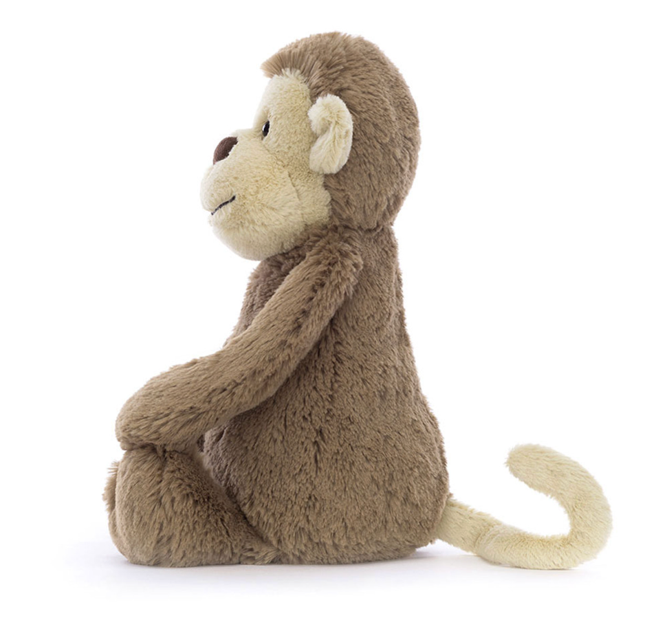 Bashful Monkey