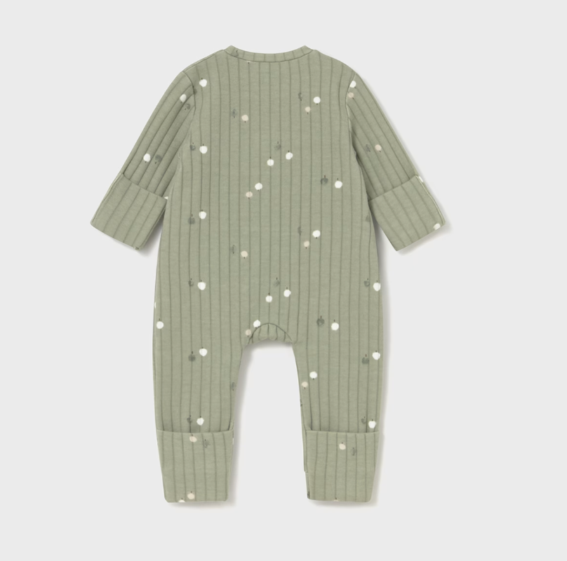 Newborn One Piece
