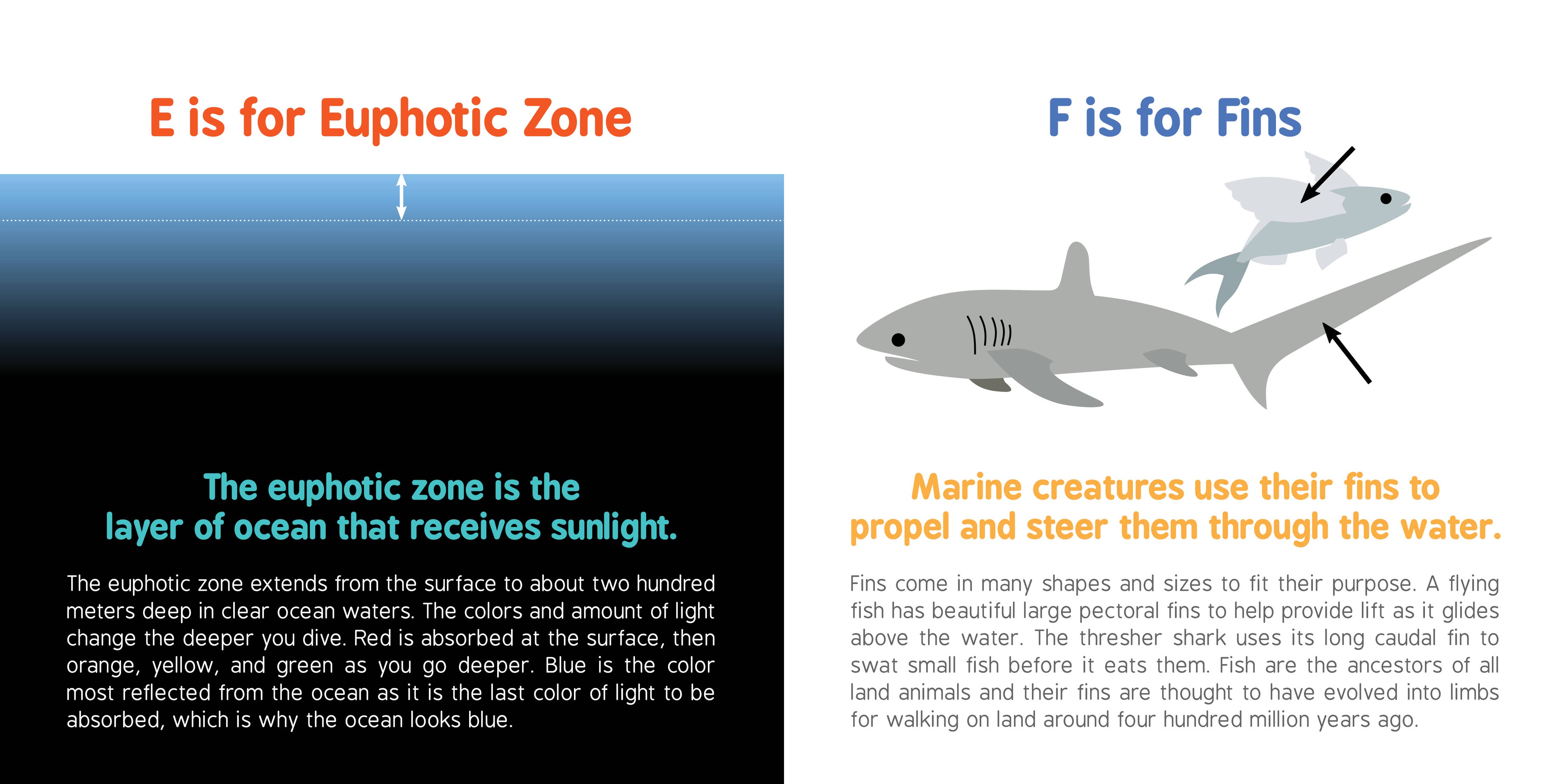ABCs of Oceanography (BB)