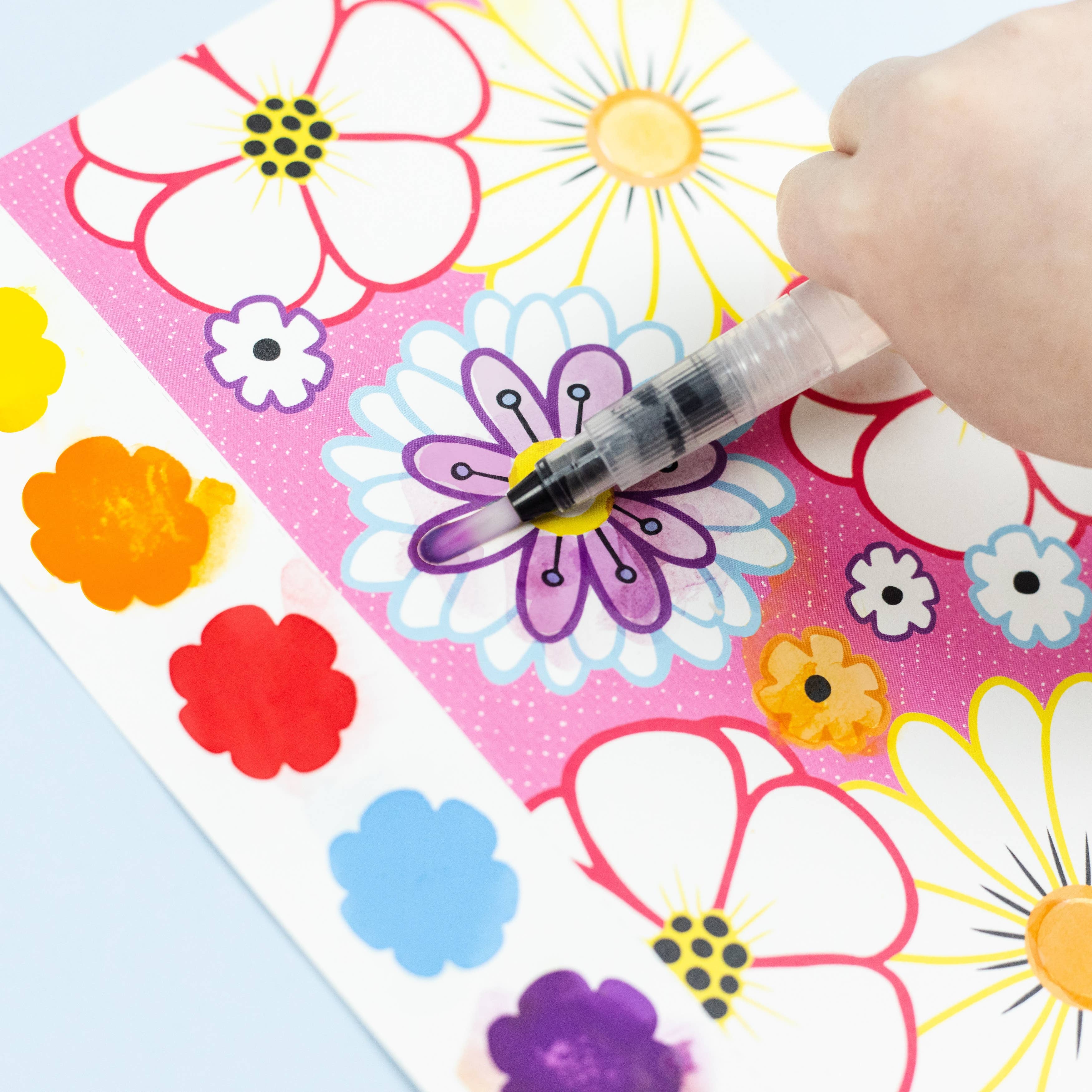 Paint a Picture Set - Butterflies & Flowers