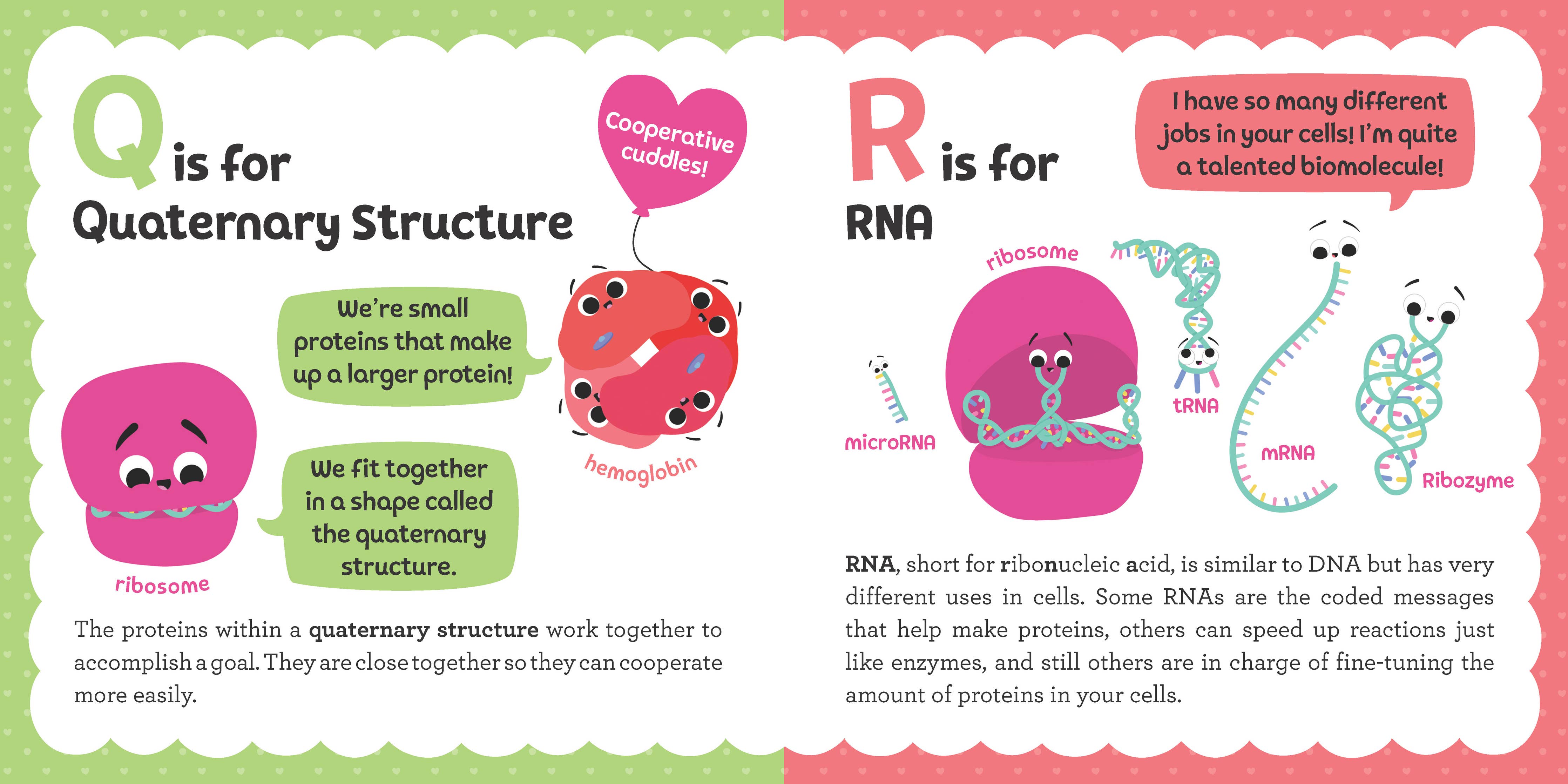 ABCs of Biochemistry (BB)