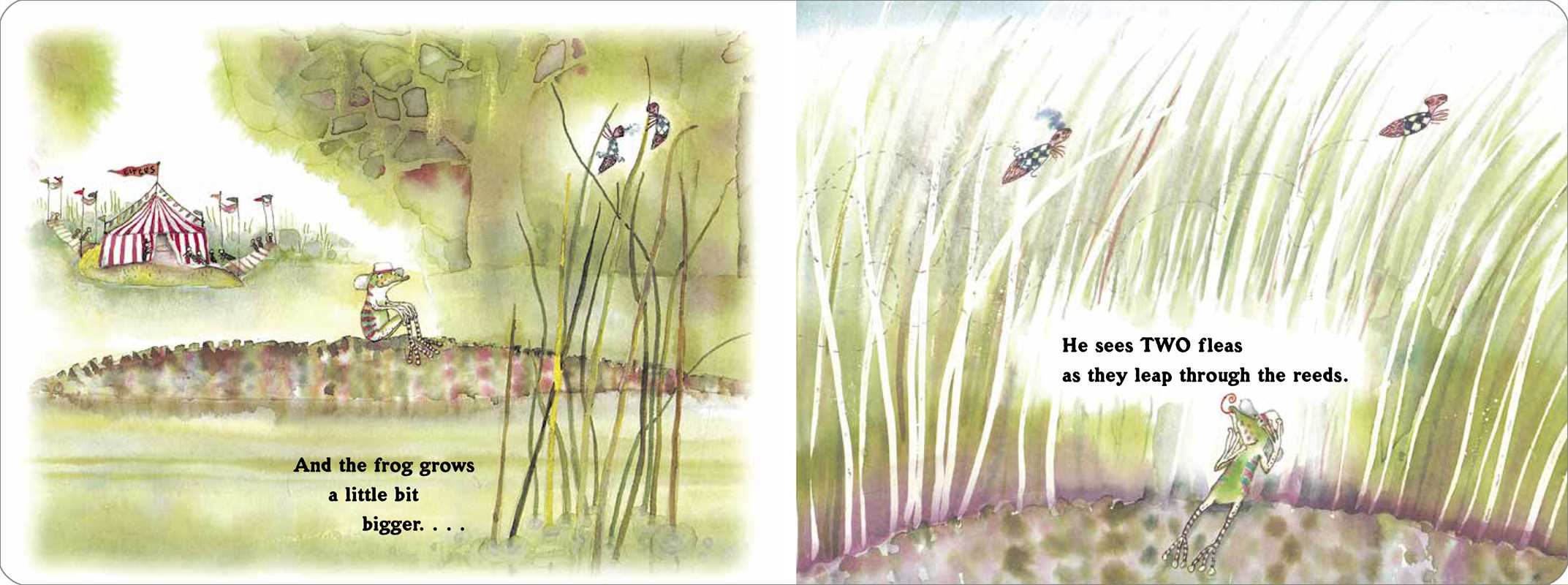Frog in the Bog by Karma Wilson