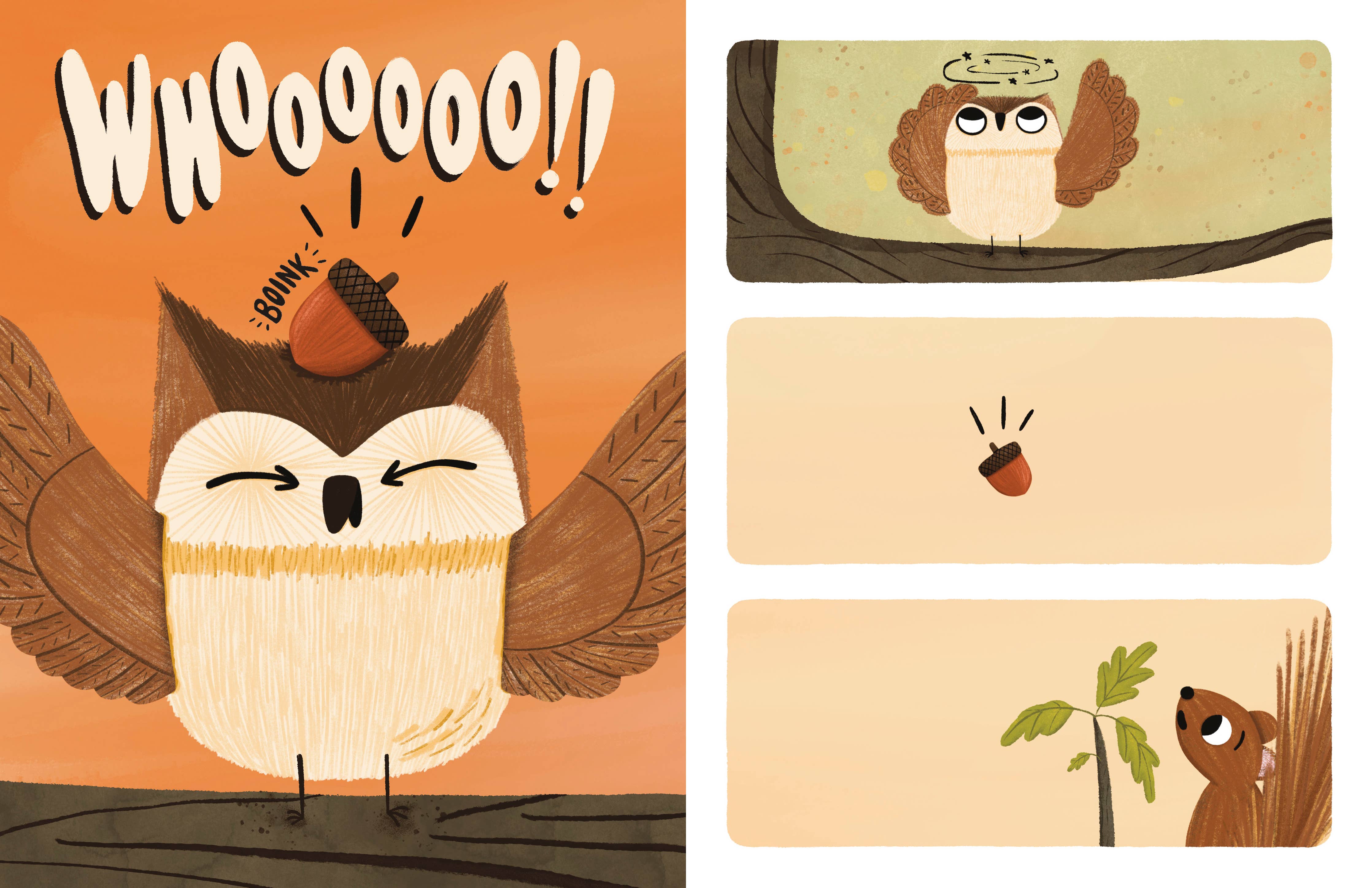 Have You Seen My Acorn?