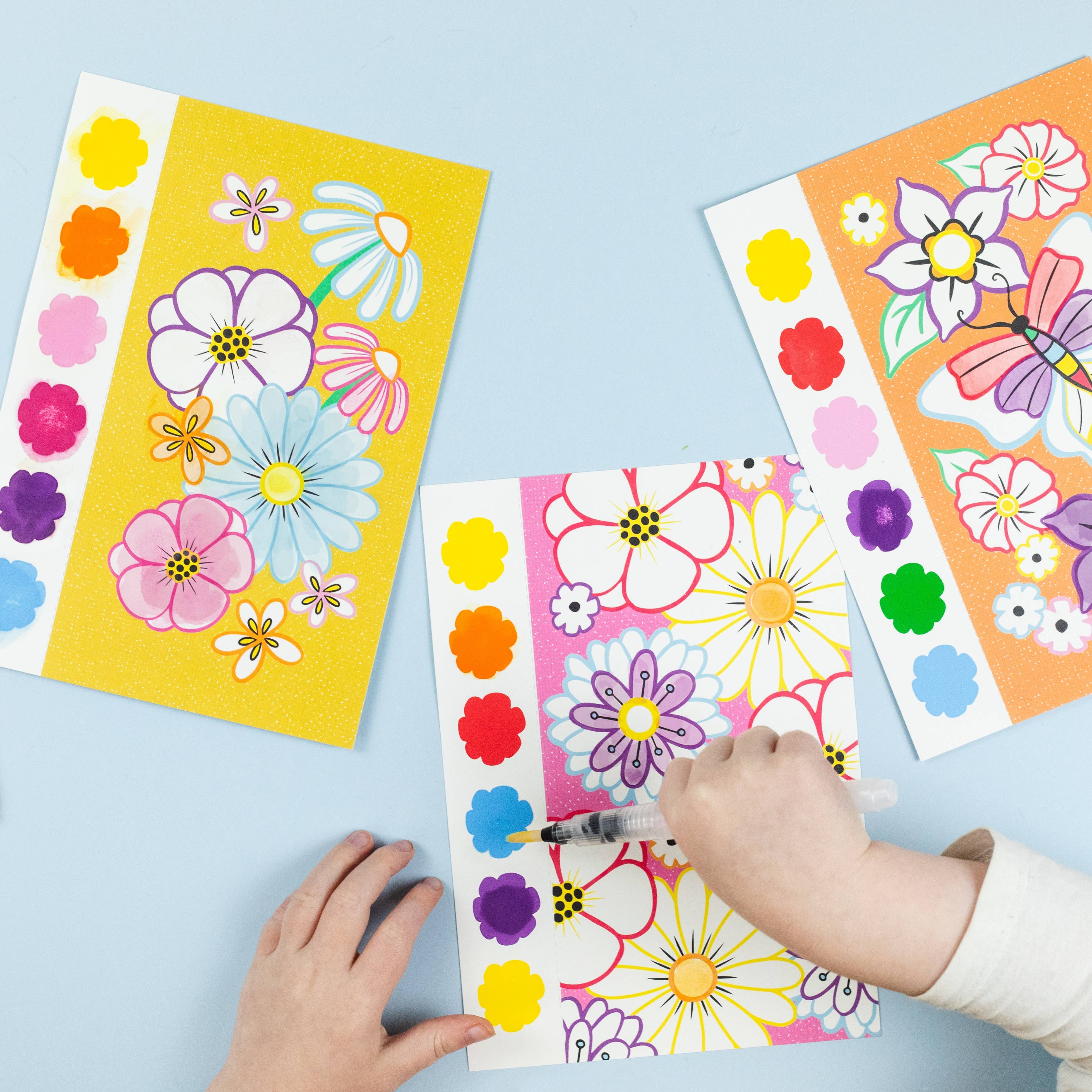Paint a Picture Set - Butterflies & Flowers