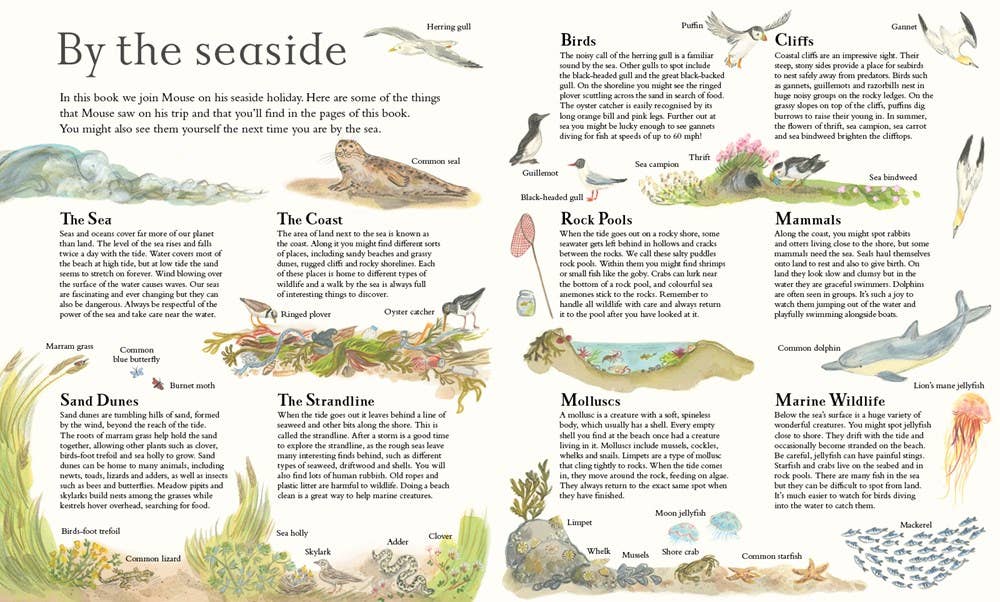 Mouse by the Sea: A Vacation in Nature