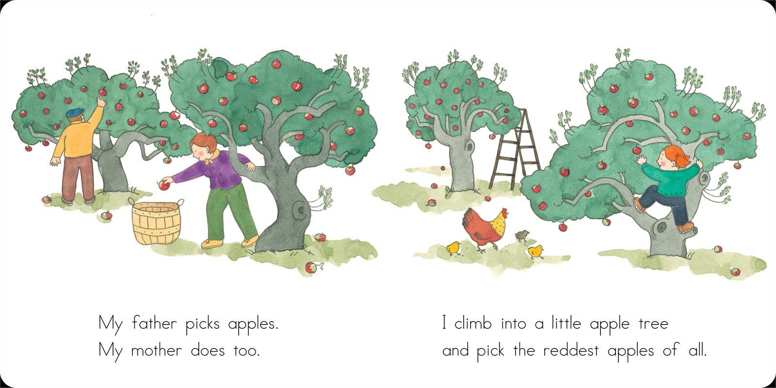 Apples and Pumpkins by Anne Rockwell
