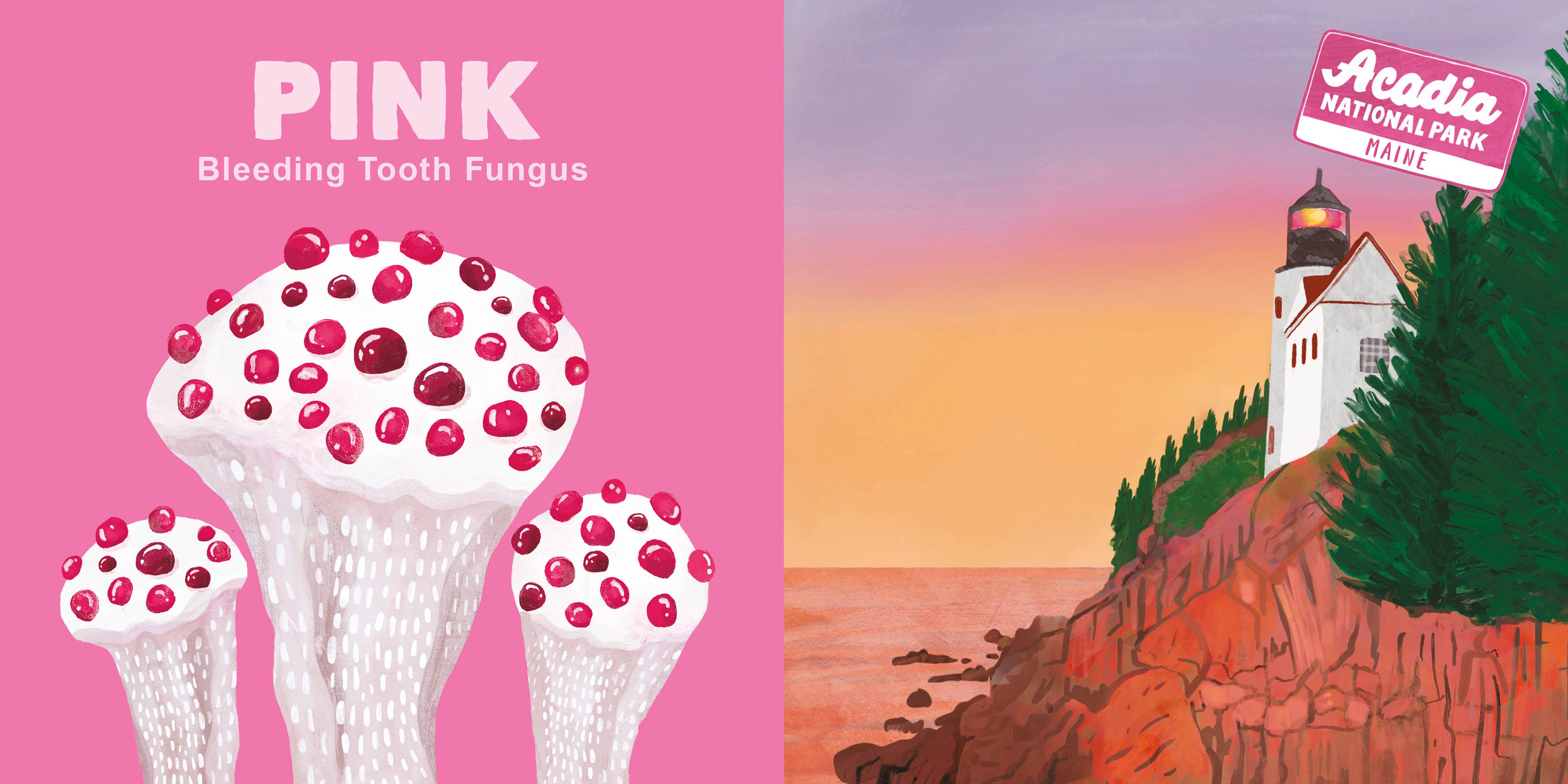 Colors of the National Parks