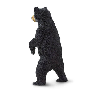 Black Bear - 181629