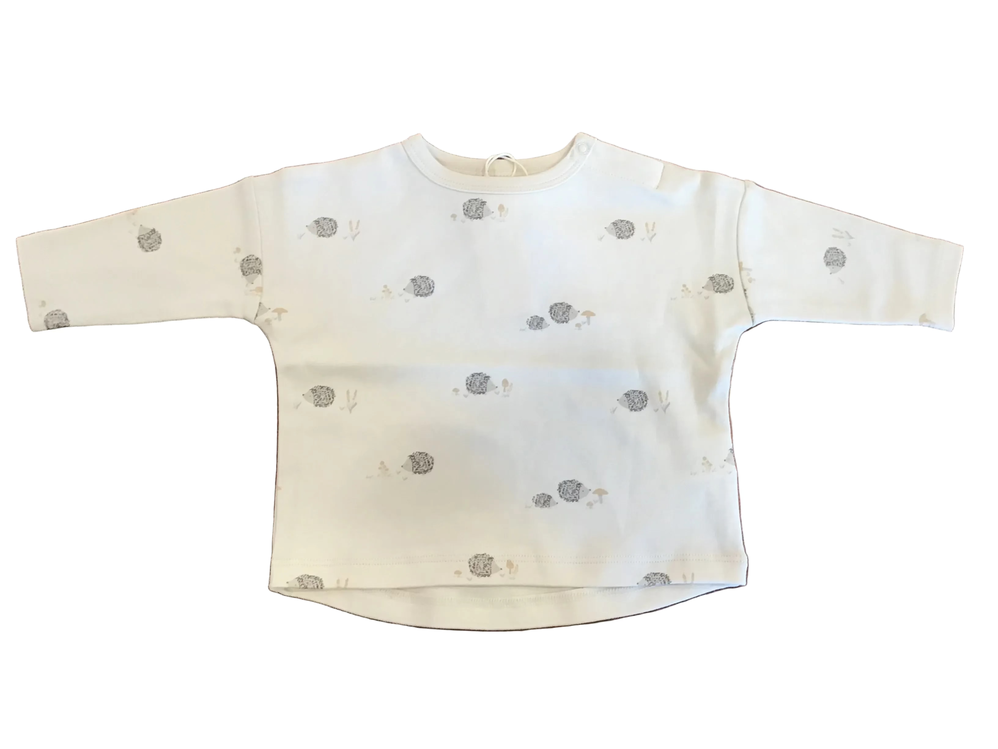 Long Sleeve Tee || Hedgehog