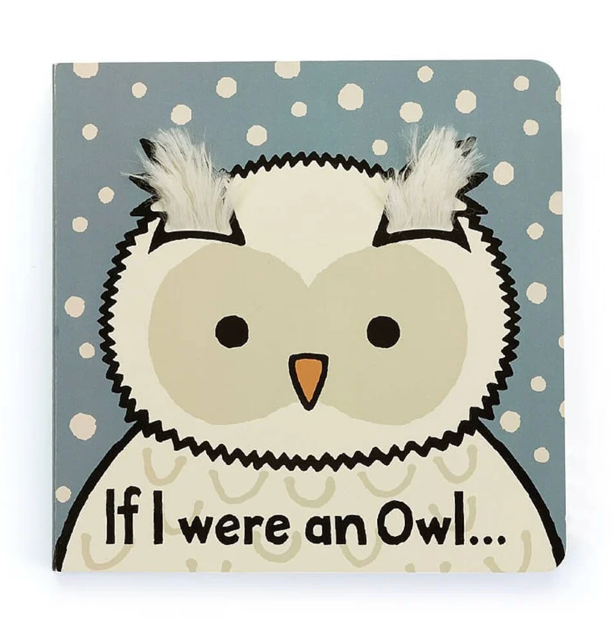 If I Were an Owl