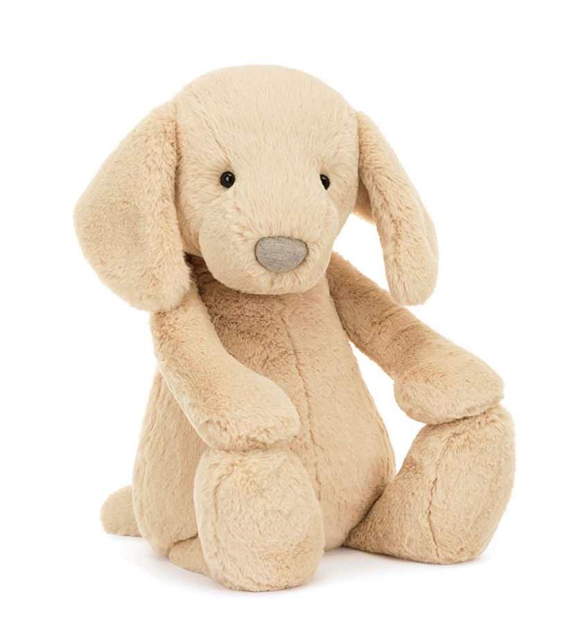 Bashful Luxe Puppy Orlando