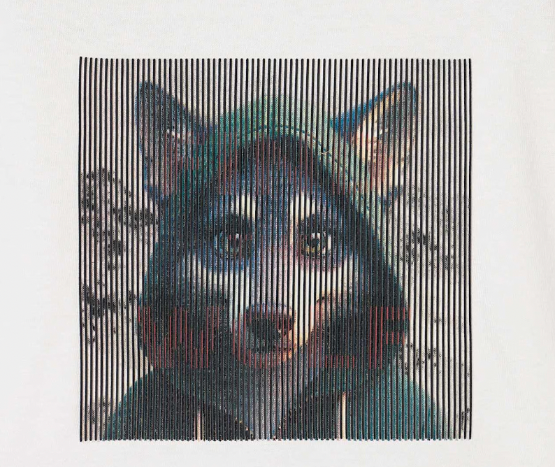 Printed T-Shirt in Cream