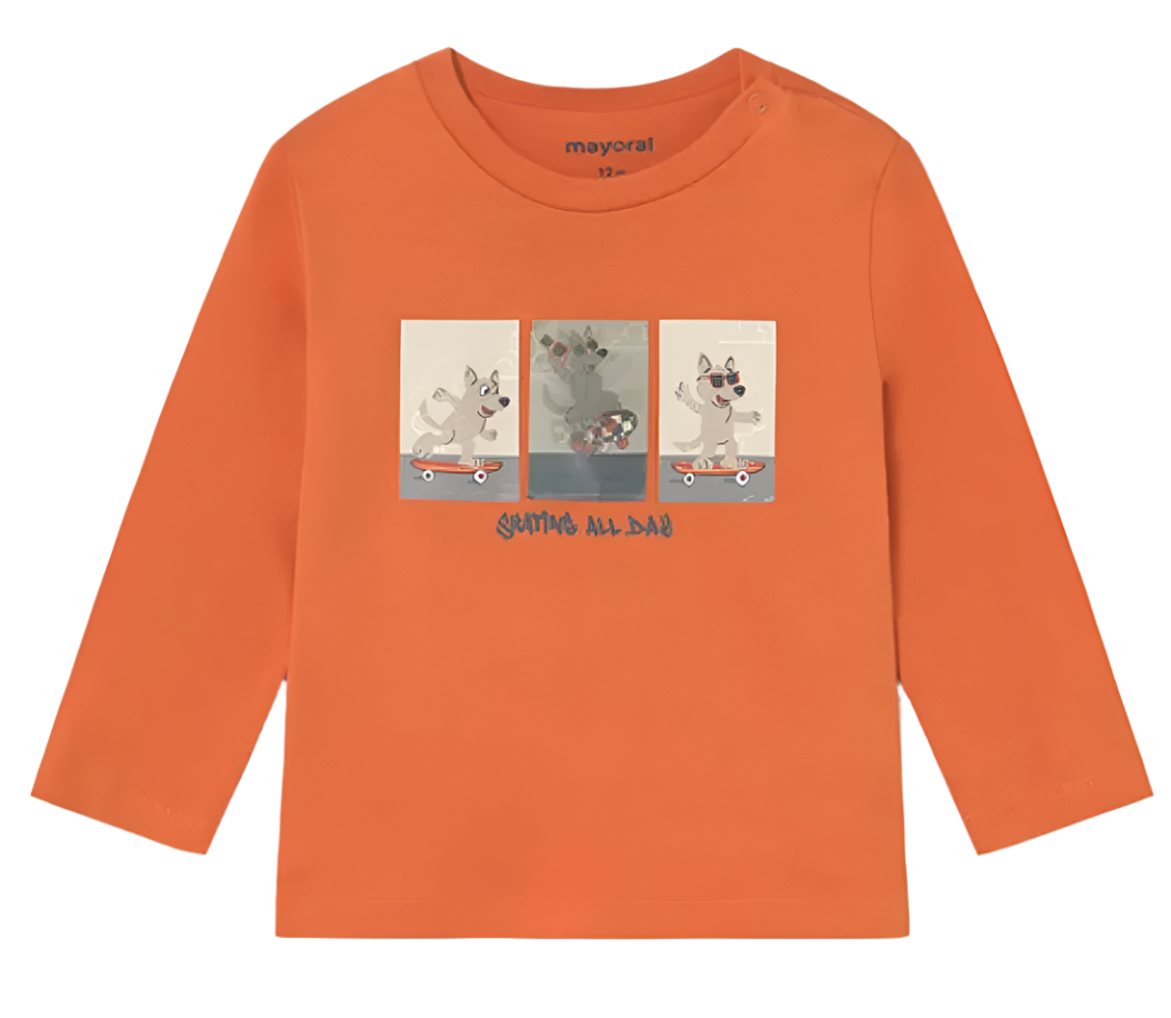 Skateboard Longsleeve