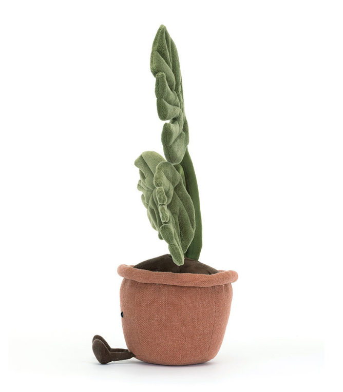 Amuseables Monstera Plant