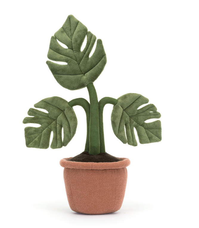Amuseables Monstera Plant