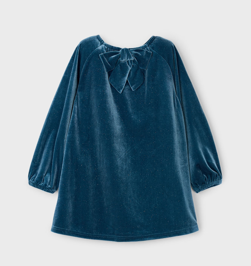 Long Sleeve Velvet Dress