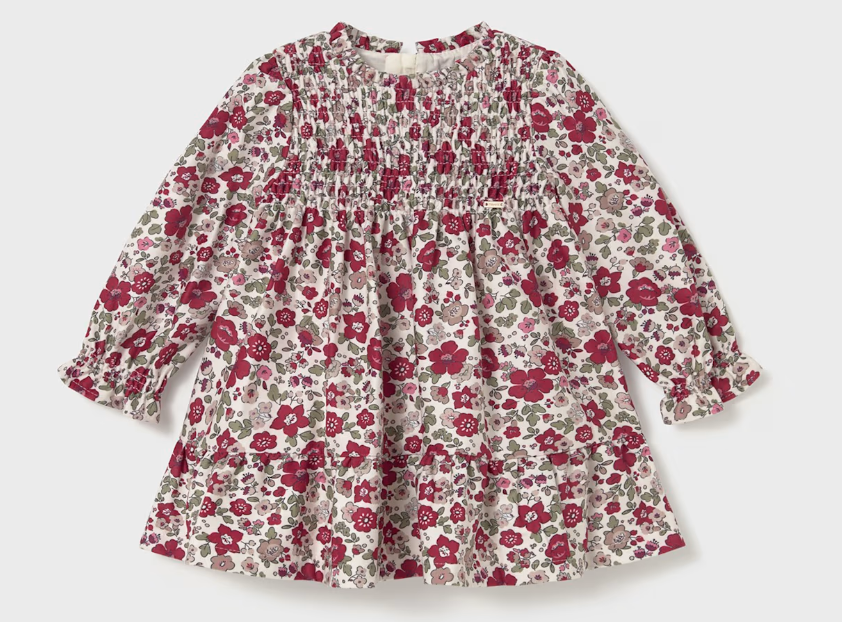 Ruffled Velvet Dress