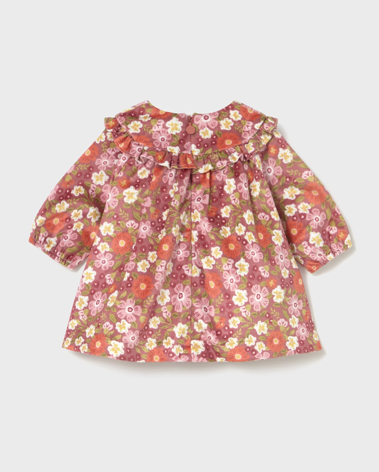 Newborn Girl Printed Velvet Dress
