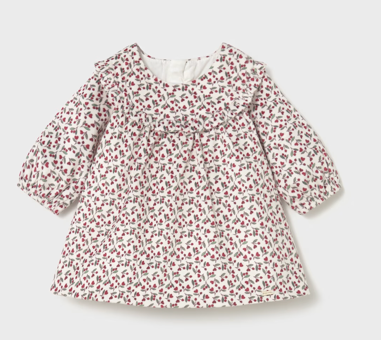 Newborn Girl Printed Velvet Dress