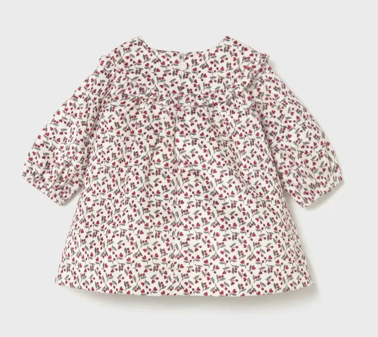 Newborn Girl Printed Velvet Dress