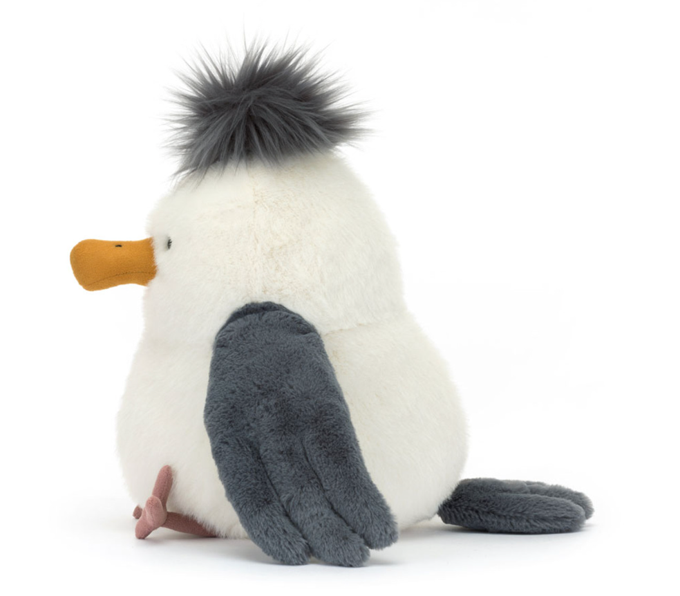 Chip Seagull