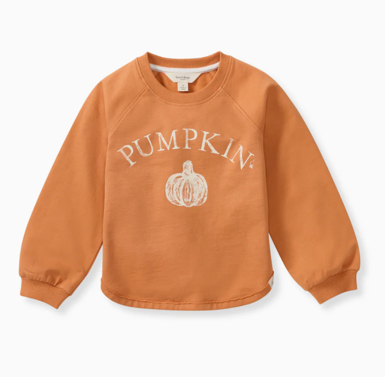 Pumpkin Organic Cotton Sweatshirt