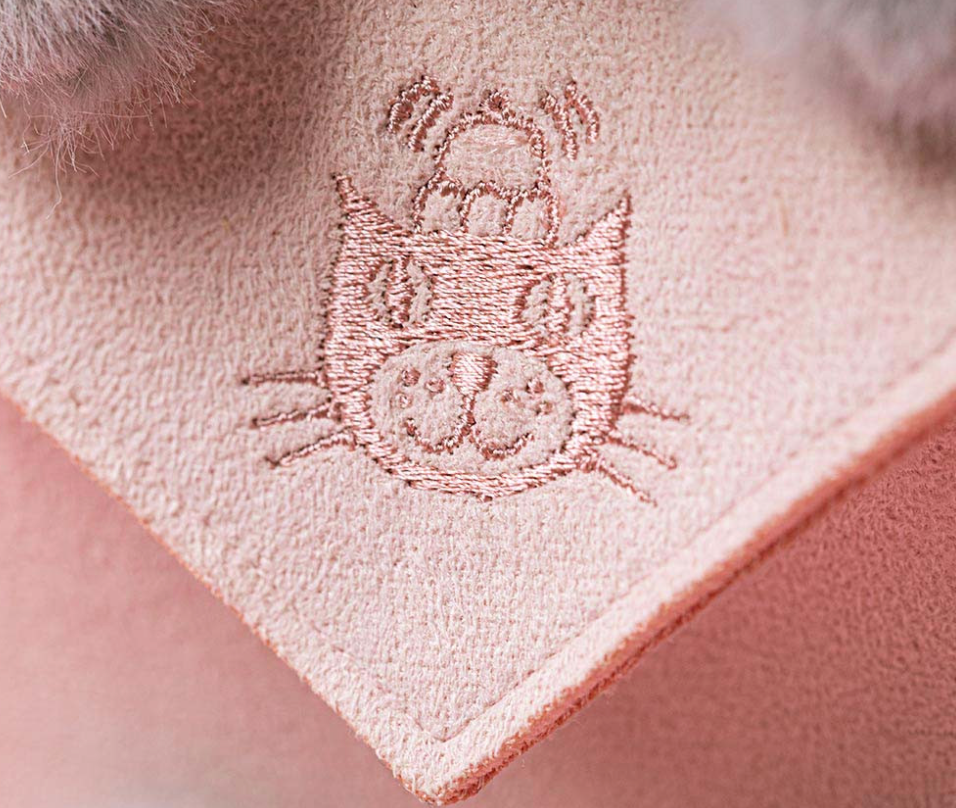 Koala With a Message