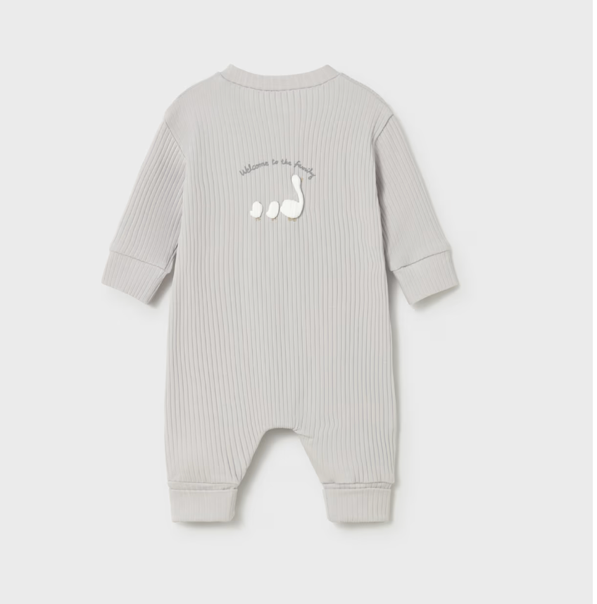 Newborn Gender Nuetral One Piece