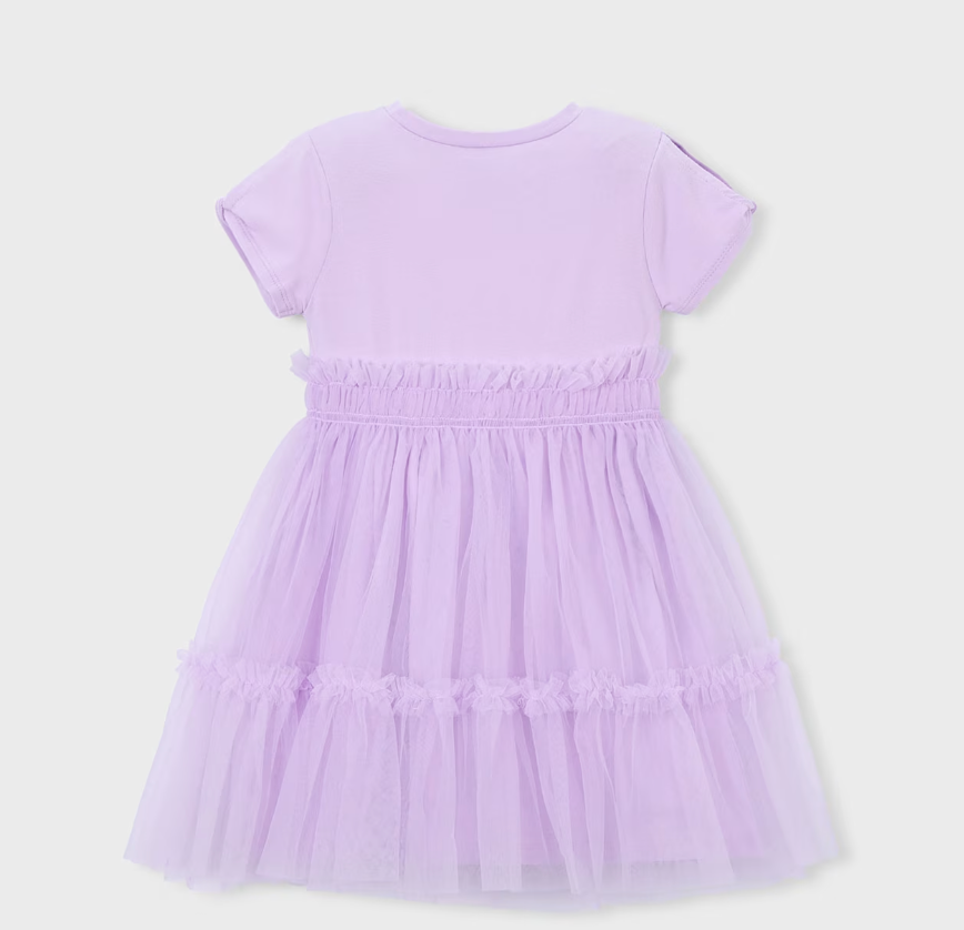 Purple Tulle Dresss