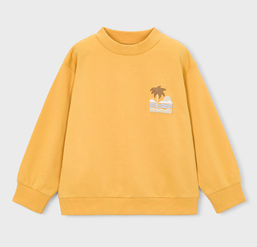 Boy Sweatshirt Peach