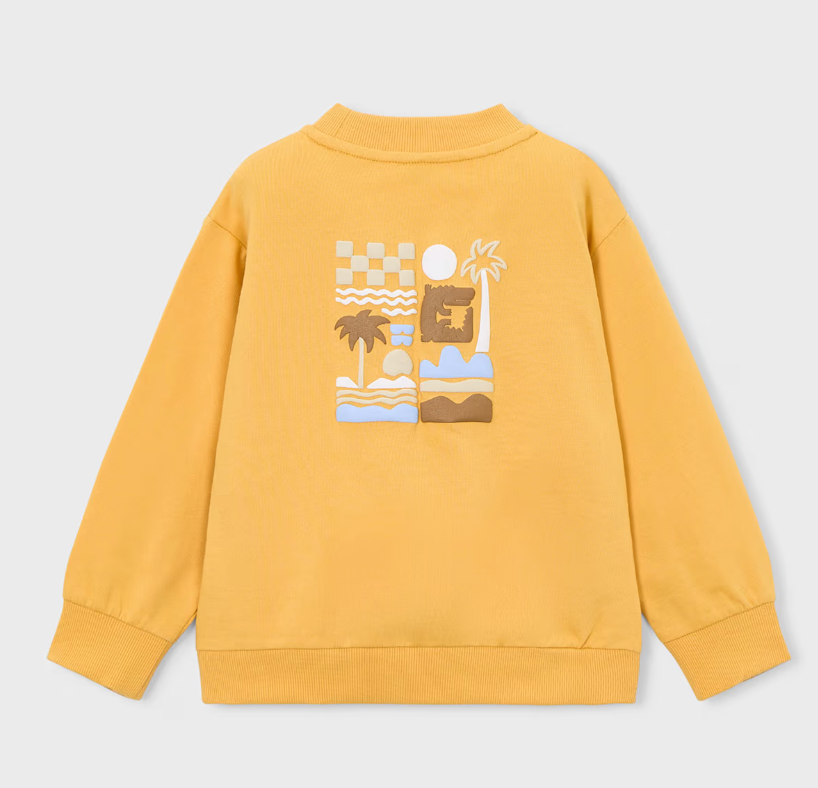 Boy Sweatshirt Peach