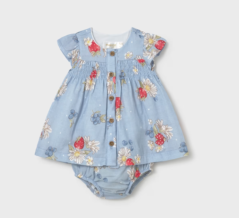 Baby Girl Chiffon Dress with Bloomers