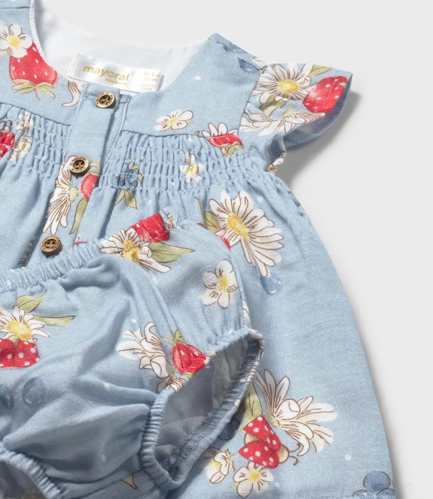 Baby Girl Chiffon Dress with Bloomers