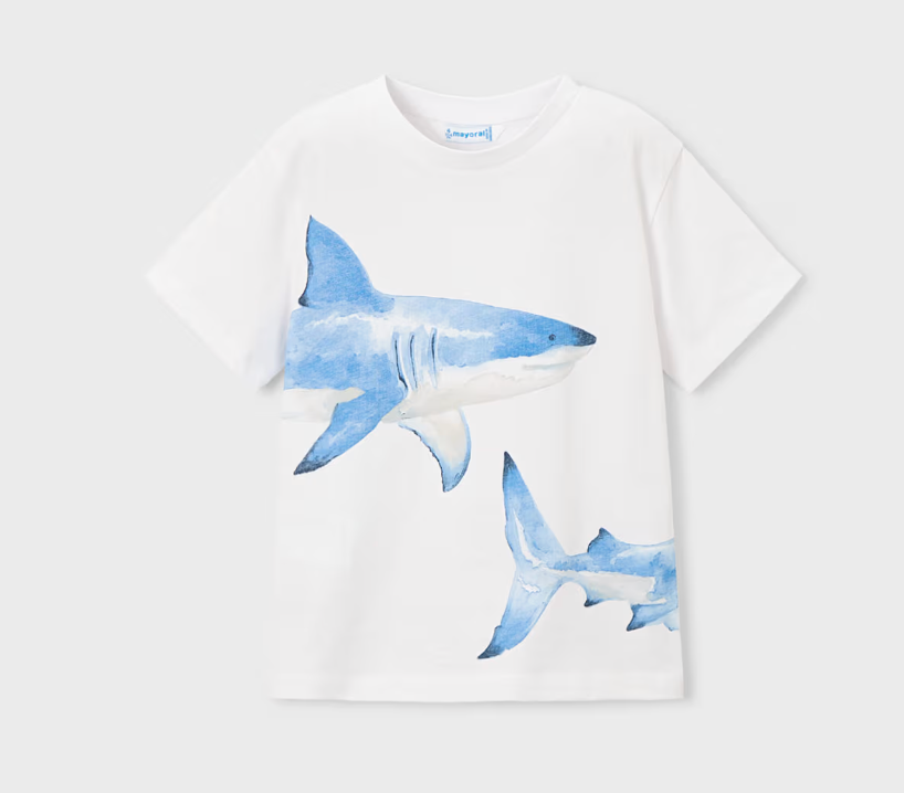 Big Boy Graphic T Shirt