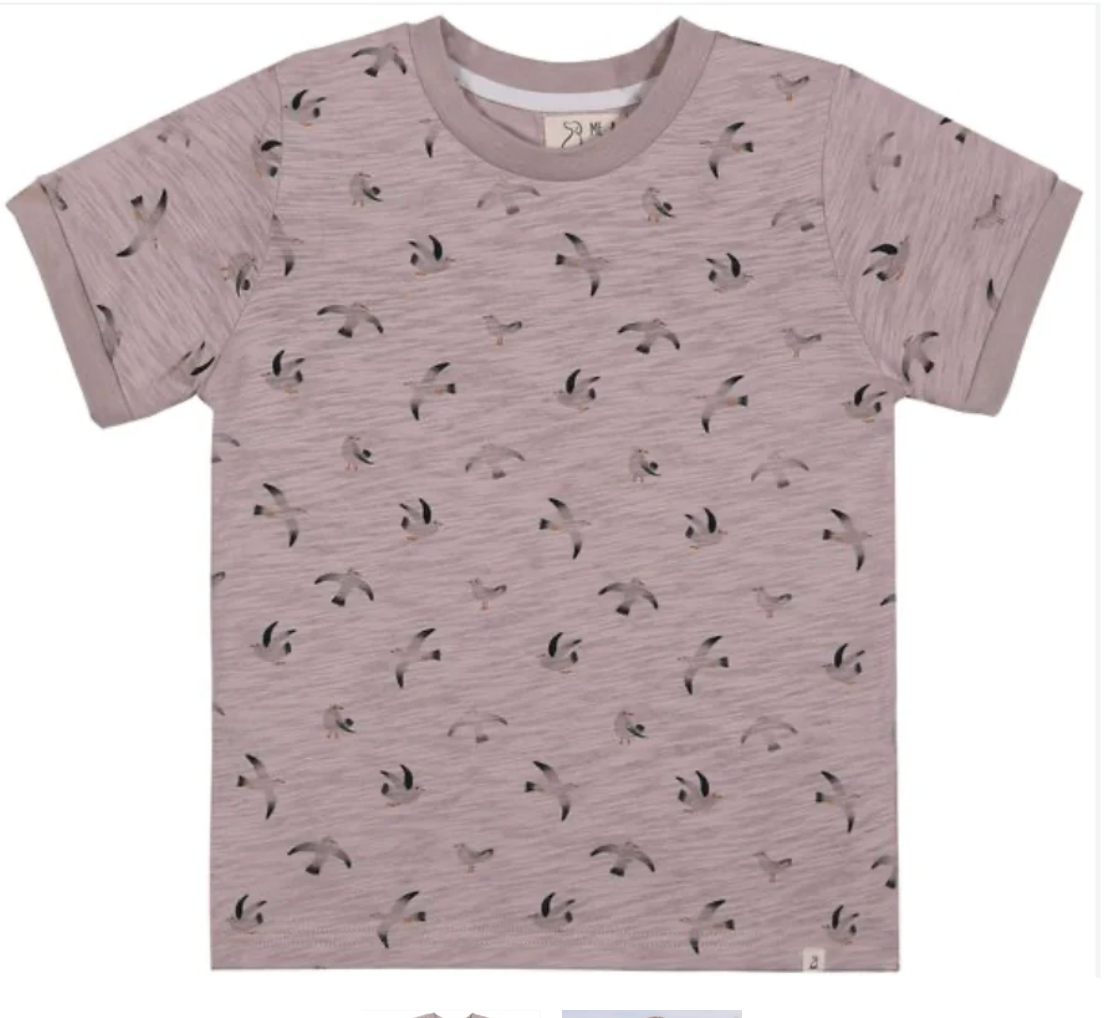 Mousehole Grey Seagull Shirt